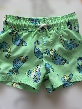 cat & jack Kids Green Chameleon Print Swim Shorts
